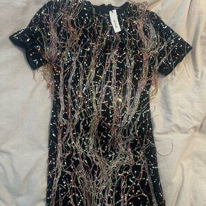 Nasty Gal Sequin Fringe Dress